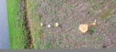 Enlarge photo 116