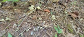 Enlarge photo 117