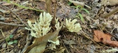 Enlarge photo 119
