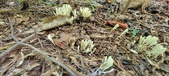 Enlarge photo 120