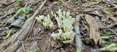 Enlarge photo 121