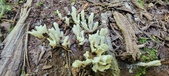 Enlarge photo 123