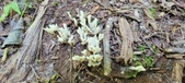 Enlarge photo 124
