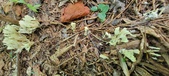 Enlarge photo 61