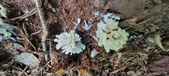 Enlarge photo 132