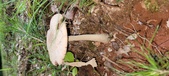 Enlarge photo 134