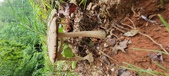 Enlarge photo 135