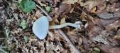Enlarge photo 147
