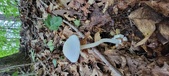 Enlarge photo 146