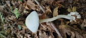 Enlarge photo 145