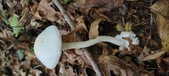 Enlarge photo 144