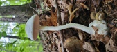 Enlarge photo 150