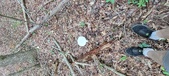 Enlarge photo 159