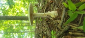 Enlarge photo 222