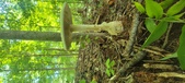 Enlarge photo 221