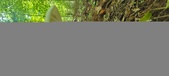 Enlarge photo 236