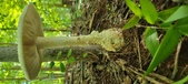 Enlarge photo 212