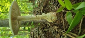 Enlarge photo 210