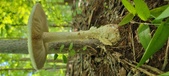 Enlarge photo 208