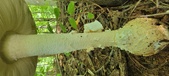 Enlarge photo 202