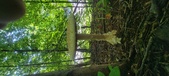Enlarge photo 197