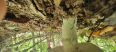 Enlarge photo 180