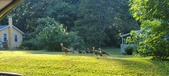 Enlarge photo 39