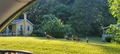 Enlarge photo 40