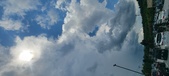 Enlarge photo 316