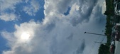 Enlarge photo 315