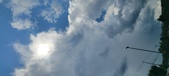 Enlarge photo 314