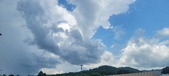 Enlarge photo 306