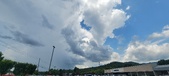 Enlarge photo 305