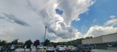 Enlarge photo 301