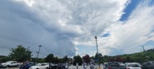 Enlarge photo 290