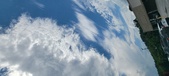 Enlarge photo 287