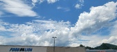 Enlarge photo 283