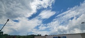 Enlarge photo 282