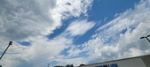 Enlarge photo 281