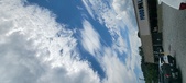 Enlarge photo 280
