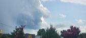 Enlarge photo 277