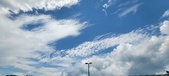 Enlarge photo 272
