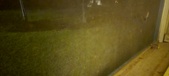 Enlarge photo 260
