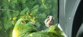 Enlarge photo 263