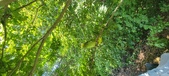 Enlarge photo 256