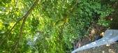 Enlarge photo 252
