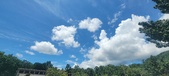 Enlarge photo 249