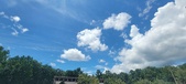 Enlarge photo 248