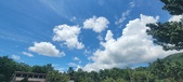 Enlarge photo 244