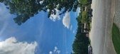 Enlarge photo 245